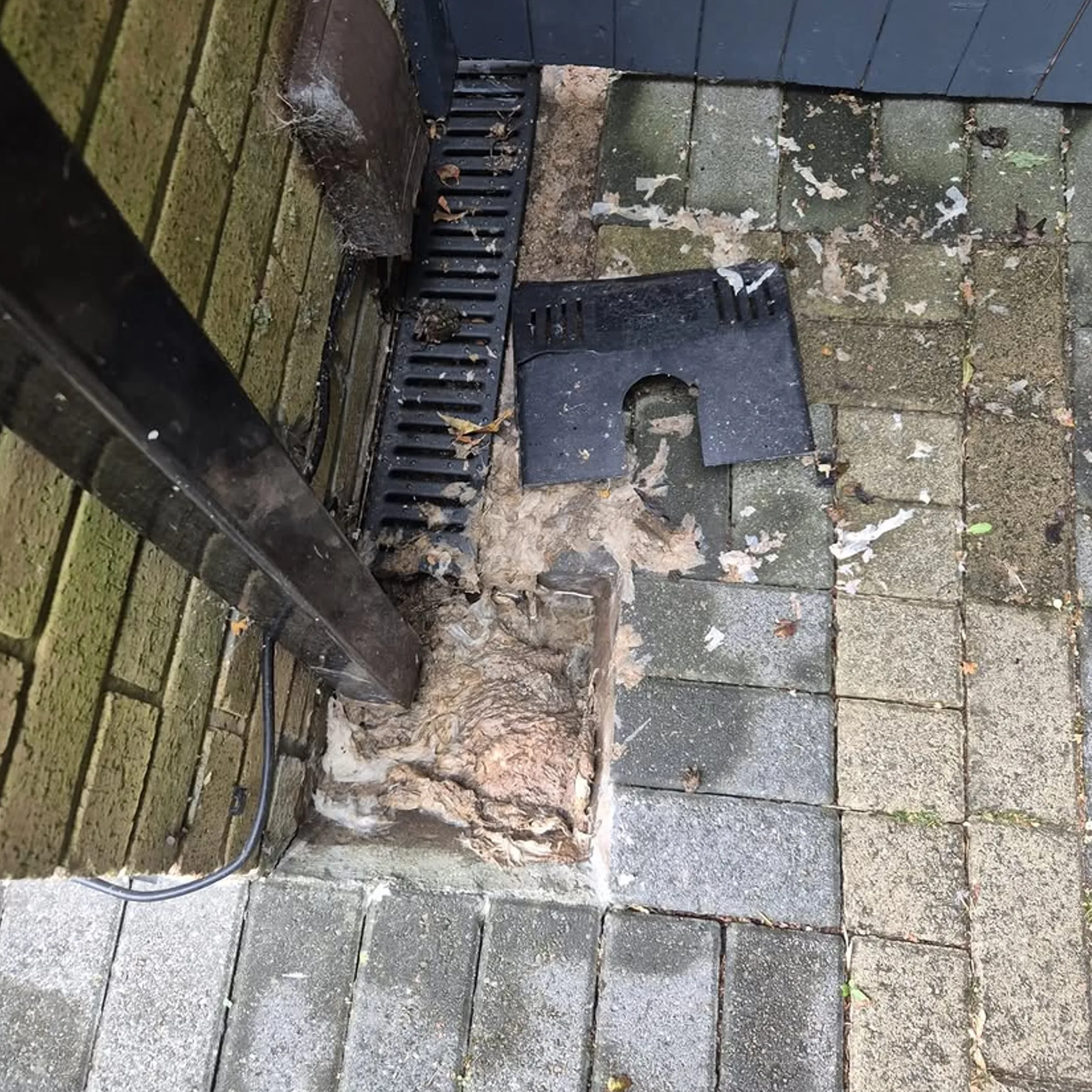 blocked drain gully close-up